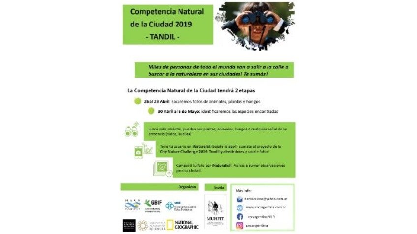 Tandil participará de una competencia entre más de 180 ciudades de todo el mundo